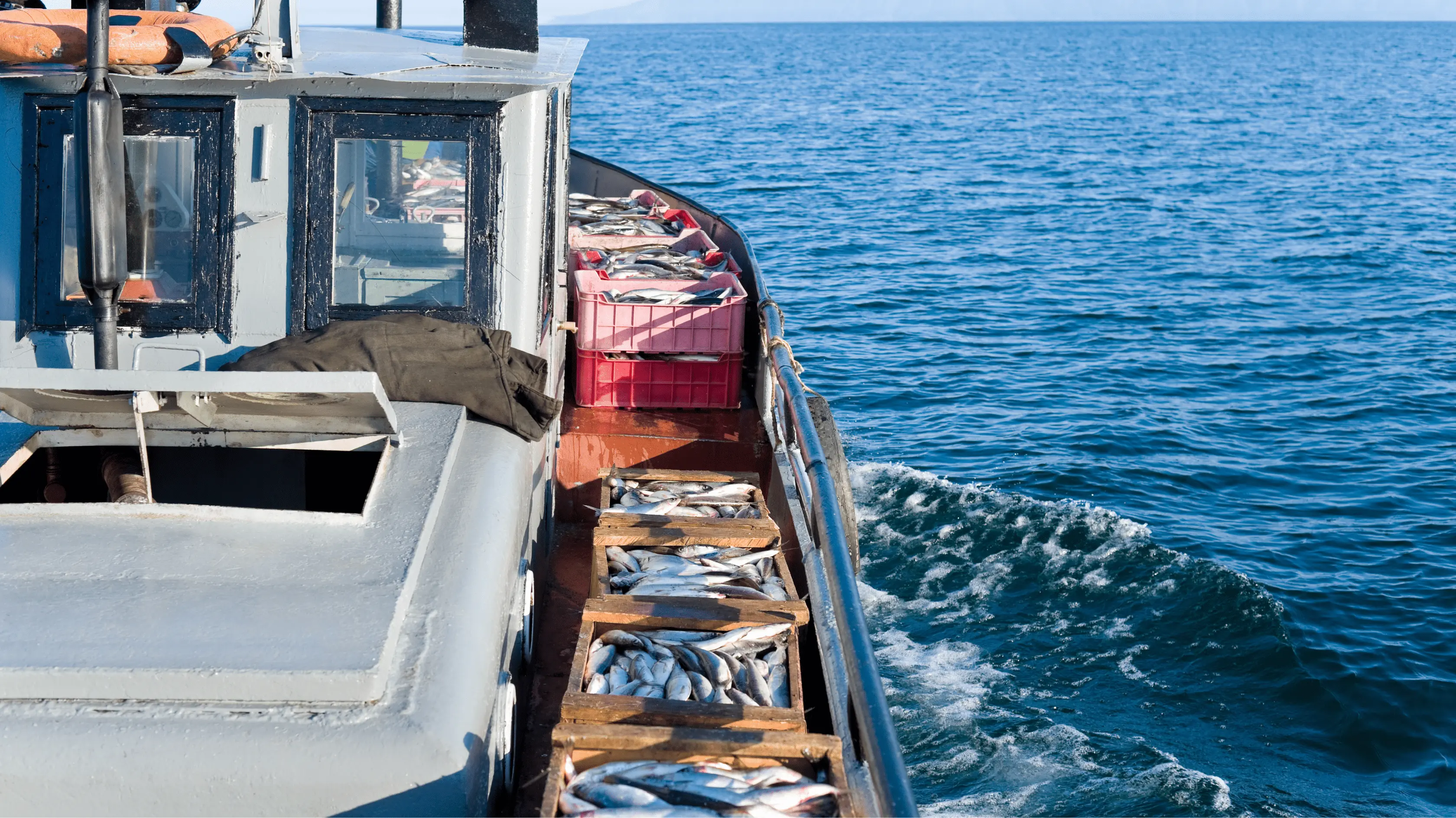 Perikanan Berkelanjutan