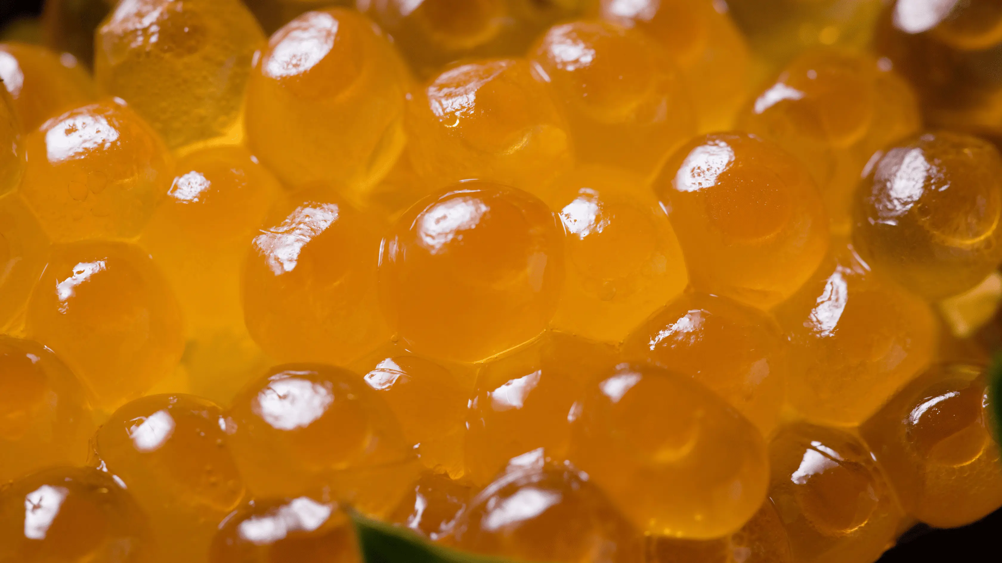 Akuakultur & Restocking